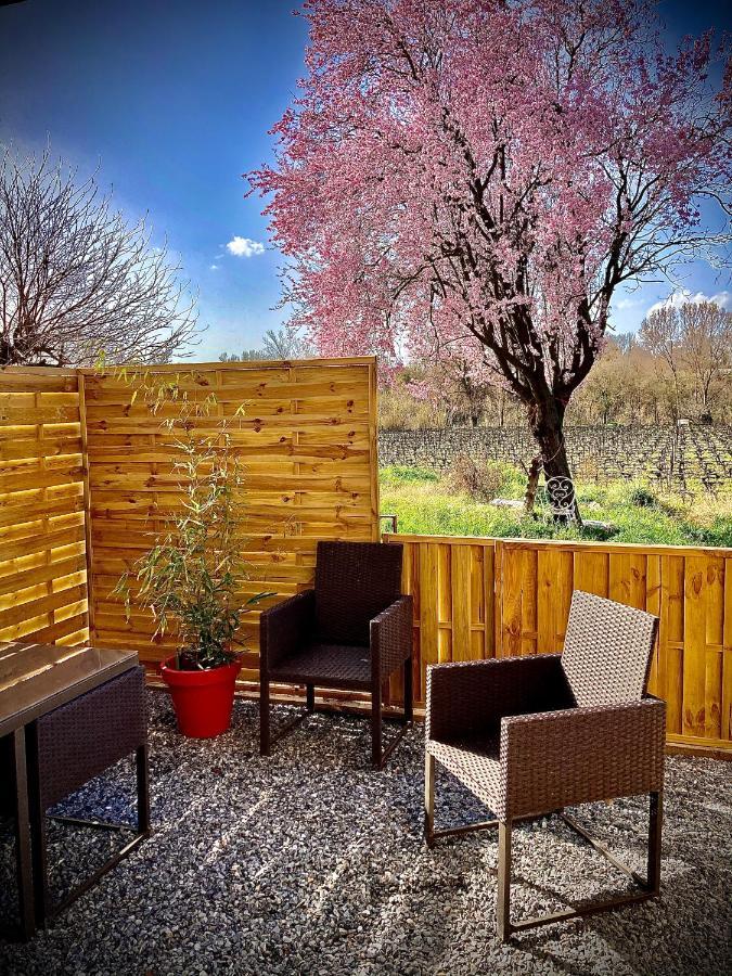 Lodging Au Milieu Des Vignes & Des Etoiles Saint-Jean-de-Fos Exterior photo